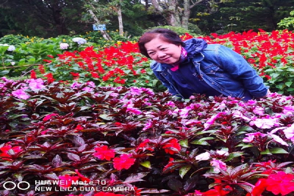 5D4N Amazing Dalat Nha Trang Tour - photo 25